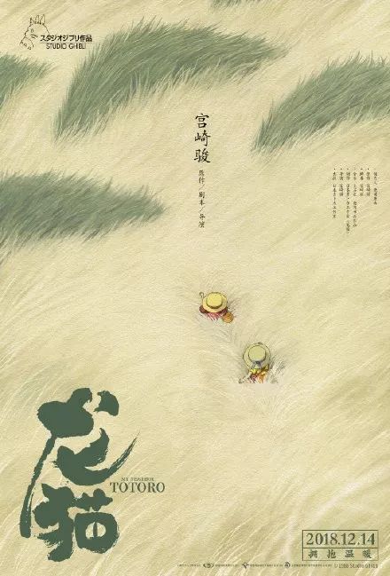 做假捷克护照模板